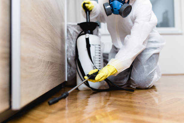 Best Affordable Pest Control Services  in Brookwood, AL