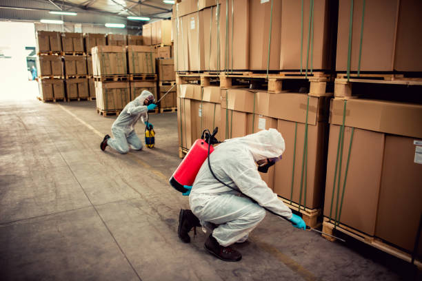 Best Pest Inspection Near Me  in Brookwood, AL
