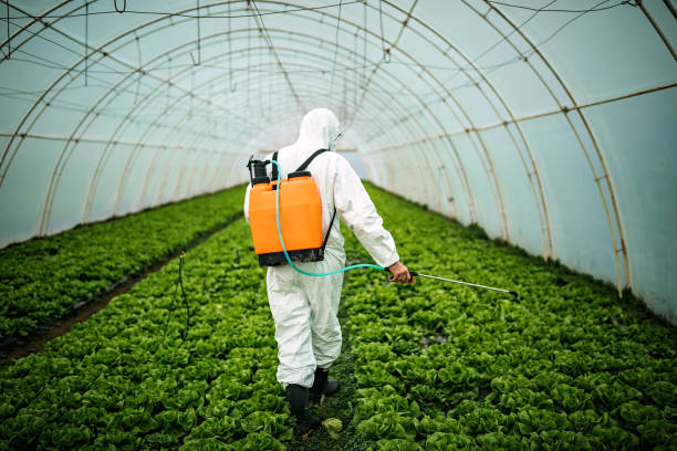 Best Local Pest Control Services  in Brookwood, AL
