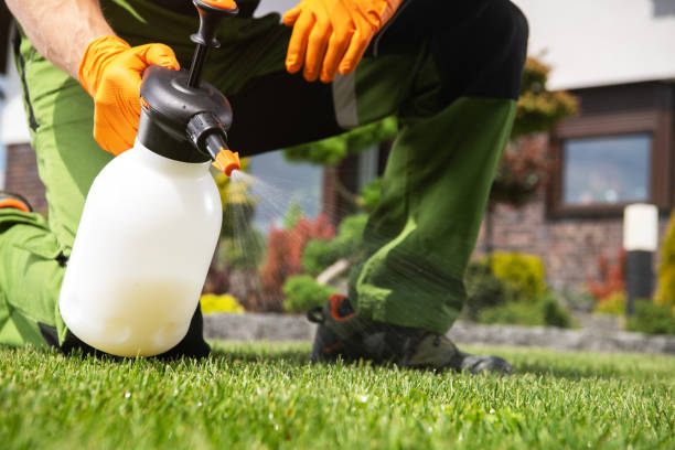 Best Commercial Pest Control Services  in Brookwood, AL