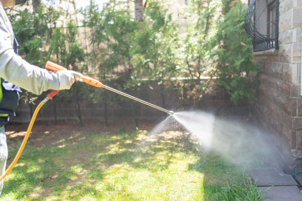 Best Affordable Pest Control Services  in Brookwood, AL