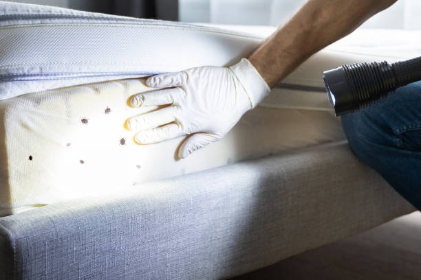 Best Pest Removal Services  in Brookwood, AL