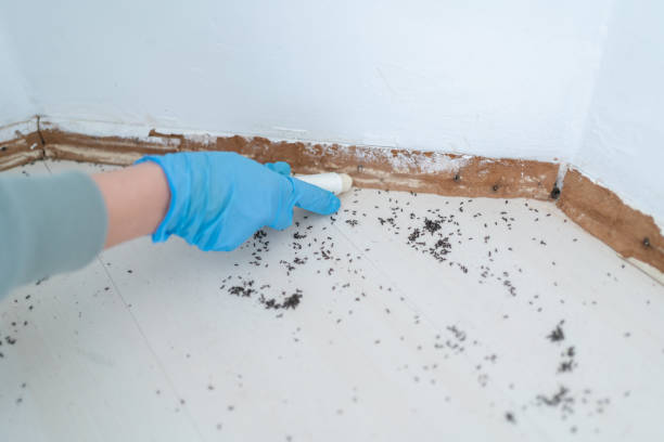 Wildlife Control Services in Brookwood, AL