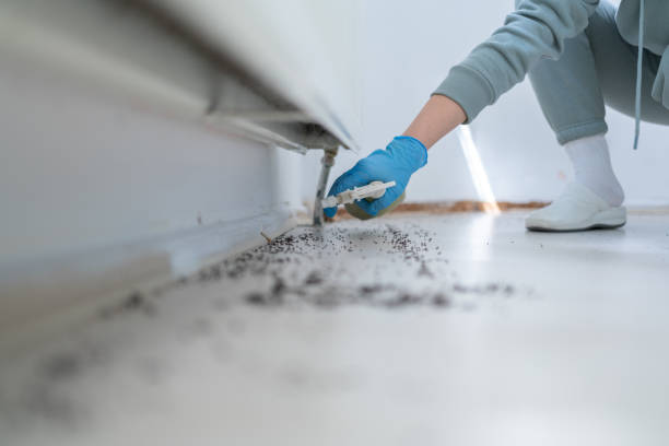 Best Pest Prevention Services  in Brookwood, AL